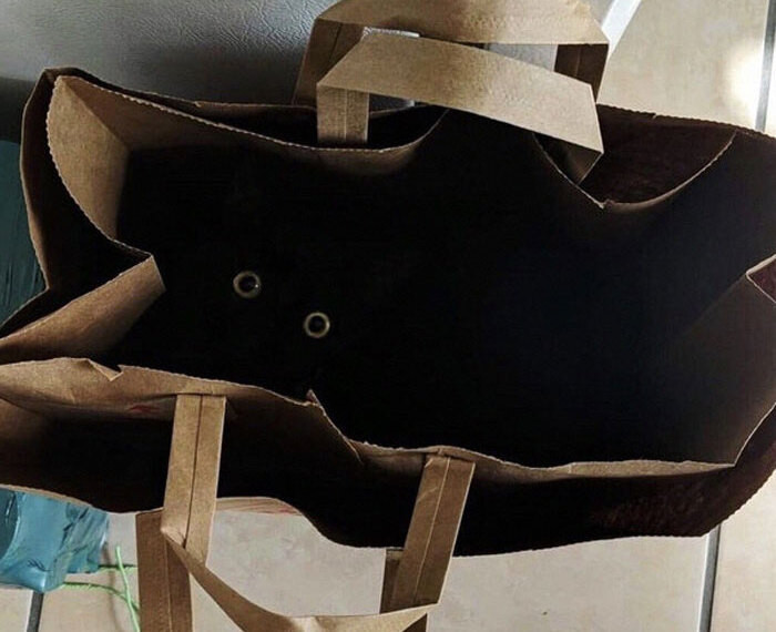 Emm... kāpēc šis maiss uz mani skatās?