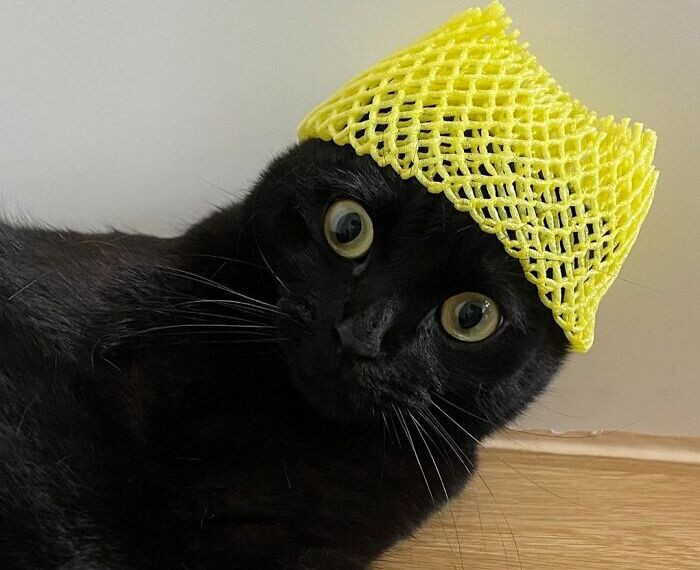 Kā tev patīk mana jaunā cepure?