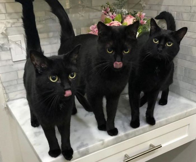 Kāds teica " ēdiens"?