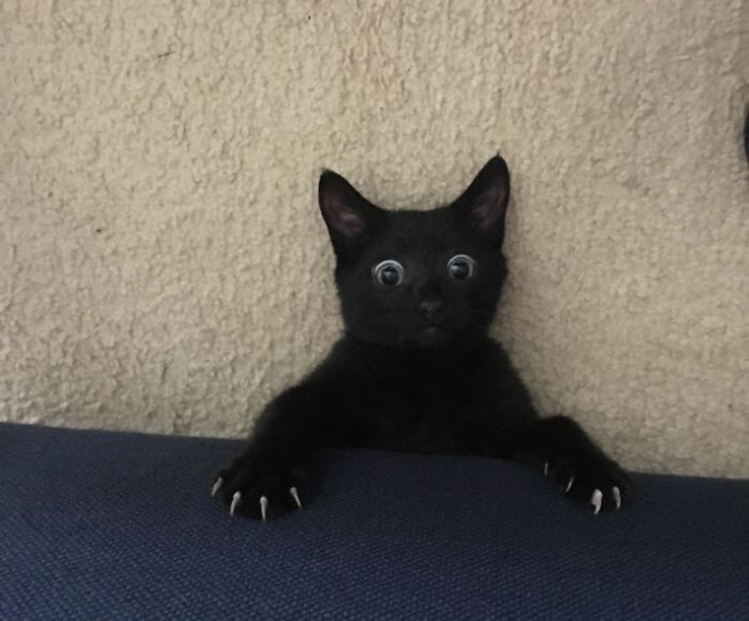 Tu neticēsi, ko es atradu zem dīvāna!!!