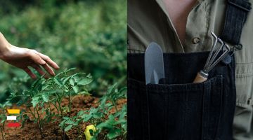 10 iemesli, kāpēc pievērsties dārza darbiem