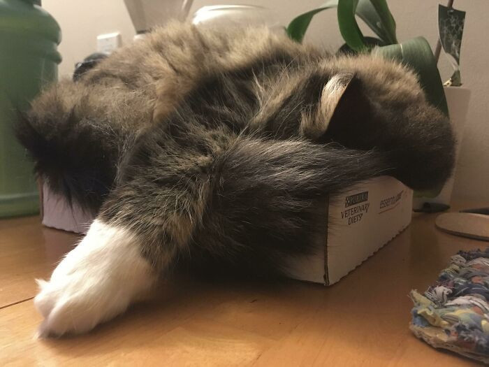 Ērtākā vieta pasaulē.