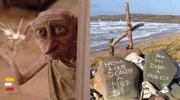 HARIJA POTERA sāgas varoņa DOBIJA kaps, iespējams, tiks aizvākts