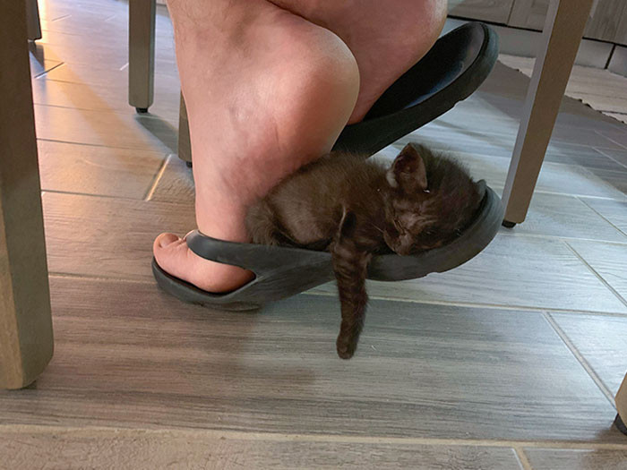 Kustēties aizliegts!