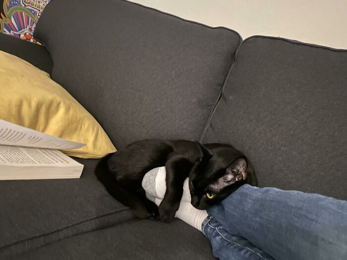 Lai murgi nerādās!