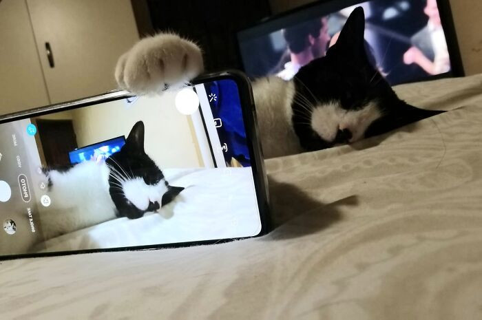 Nobildē, it kā es guļu!