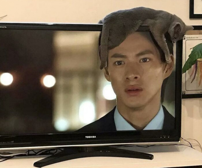 Perfektā vietā, perfektā laikā!