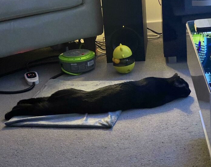 Plankings joprojām ir modē.