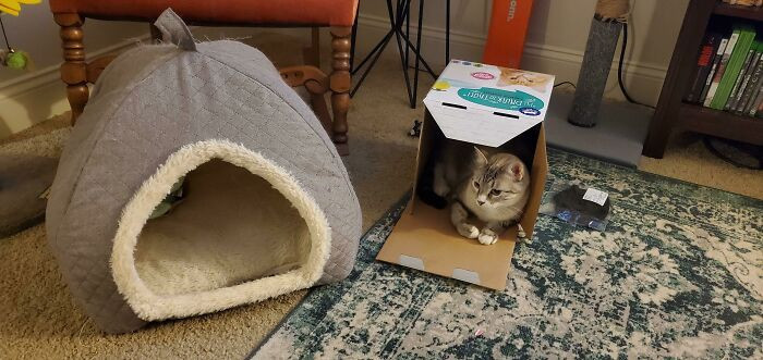 Vajag pieturēties pie pārbaudītām vērtībām!