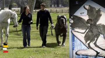 3 JOCĪGĀKIE INTERNETA MĪTI VĒSTURĒ