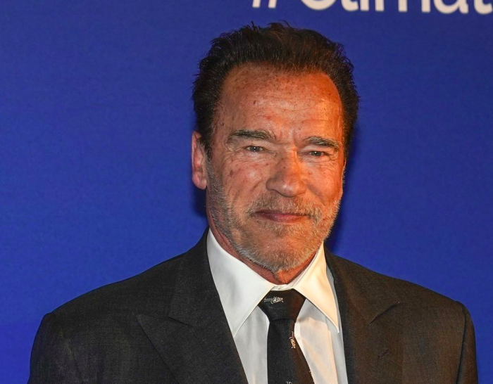 Arnolds Švarcenegers (lauva)