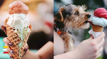 Nacionālais SALDĒJUMA mēnesis 