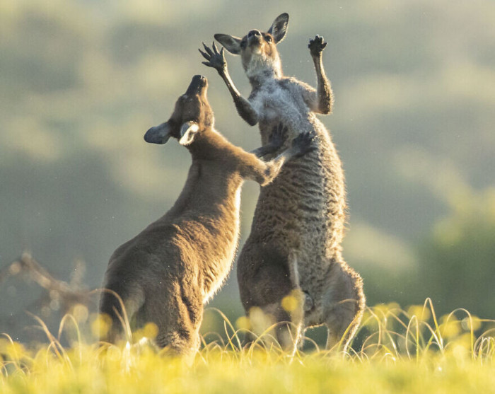 Davai, uzspēlējam kutināšanas spēli!