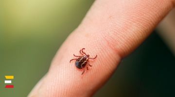 Kā sevi pasargāt no ĒRCĒM? 